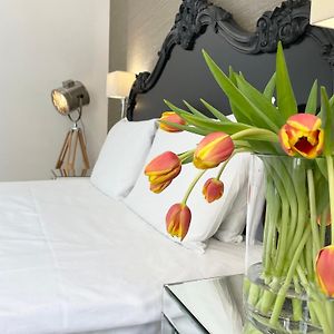 Deluxe Appartement